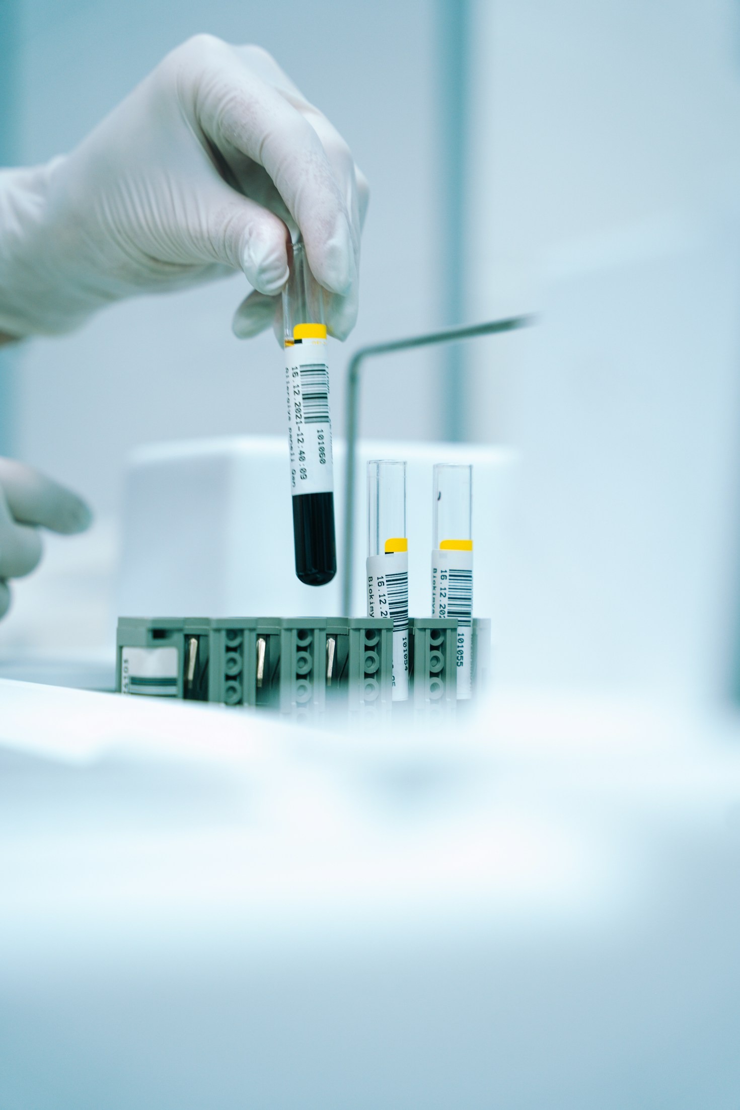 Top Longevity Compounds Backed by Science