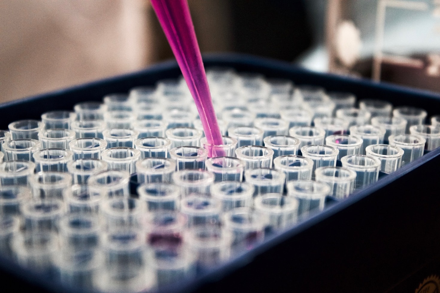 Senolytic Therapies: The Future of Aging